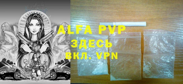 гашик Арсеньев