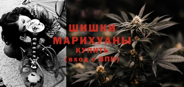 гашик Арсеньев