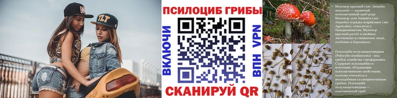 Псилоцибиновые грибы GOLDEN TEACHER  Купить  Унеча 